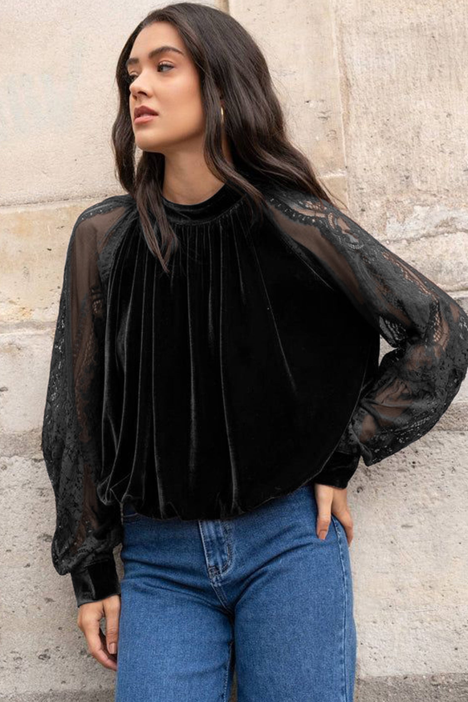 Color Black Solid Color Sheer Lace Long Sleeve Patchwork Stand Neck Velvet Blouse