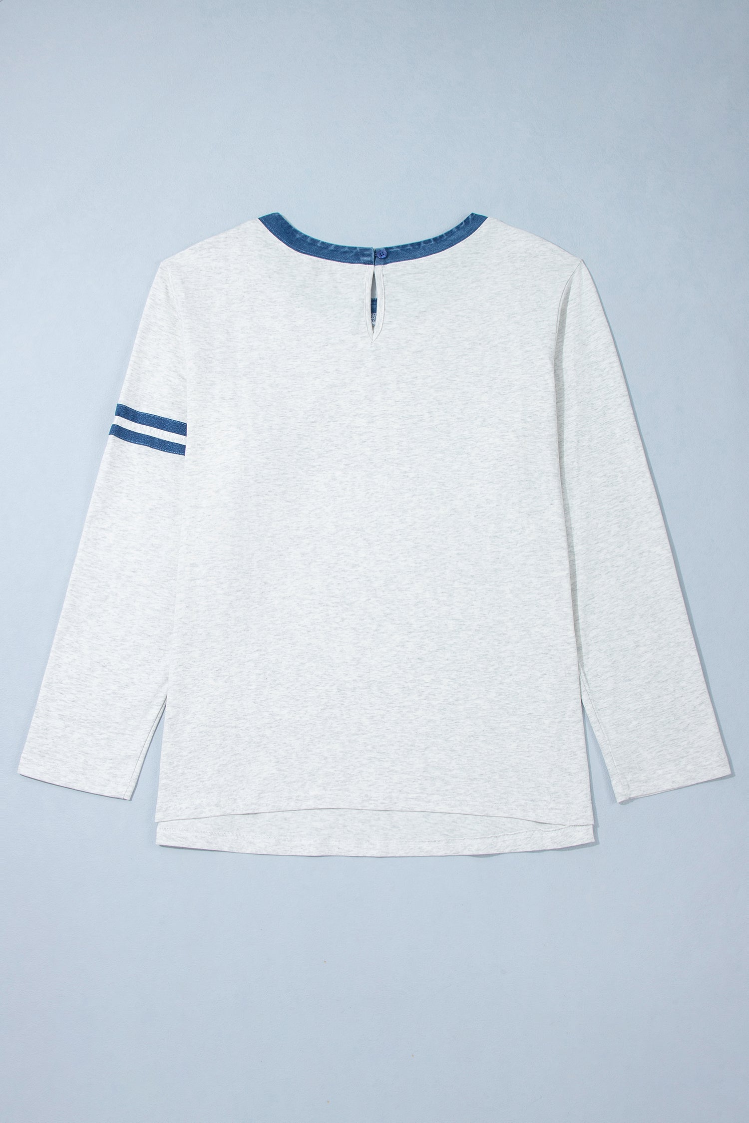Gray Plus Size Colorblock Detail Round Neck Long Sleeve Top