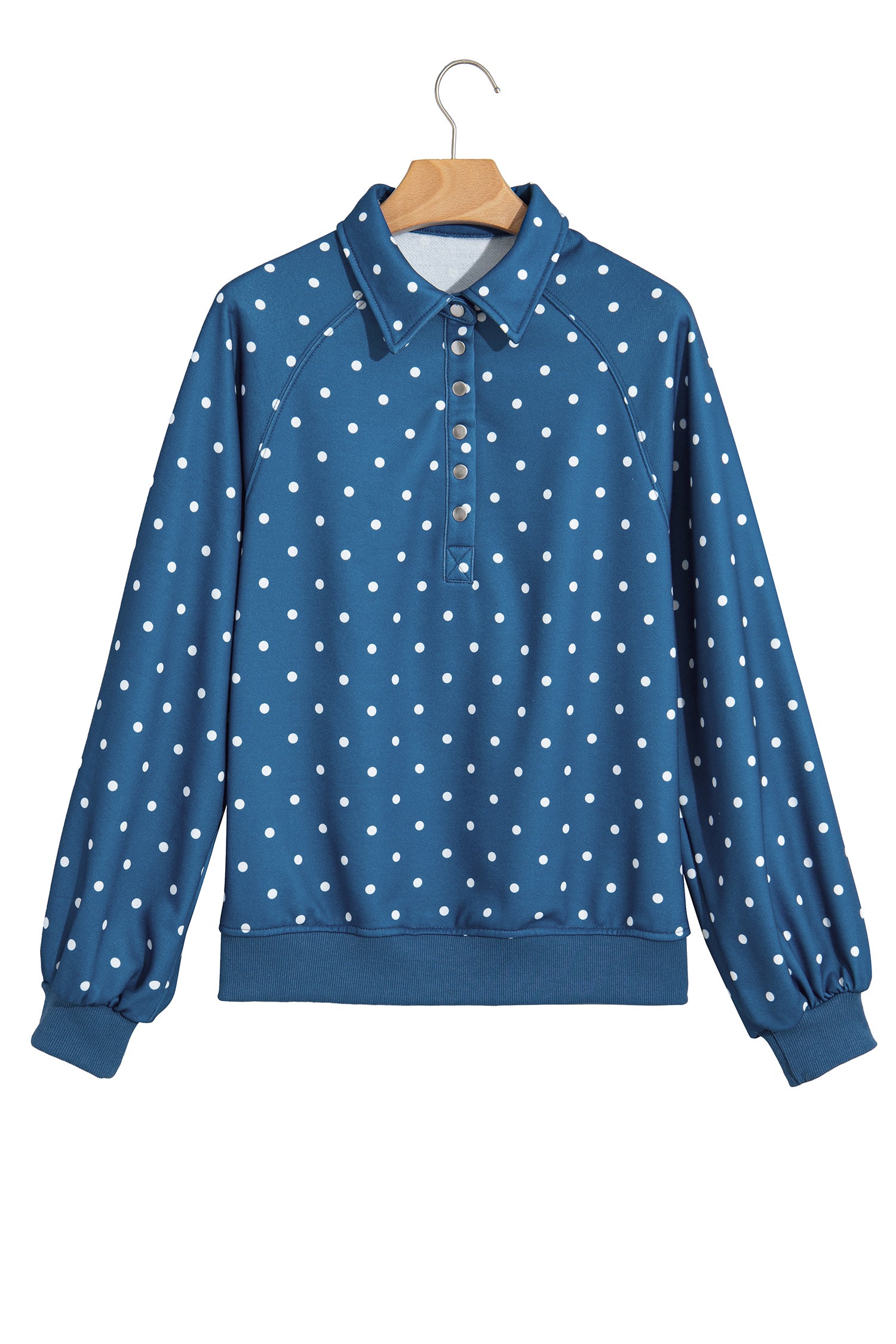 Brown Polka Dot Print Metal Button Collar Casual Pullover Sweatshirt