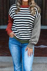 Color black Striped Panels Colorblock Sleeve Chic Sweater