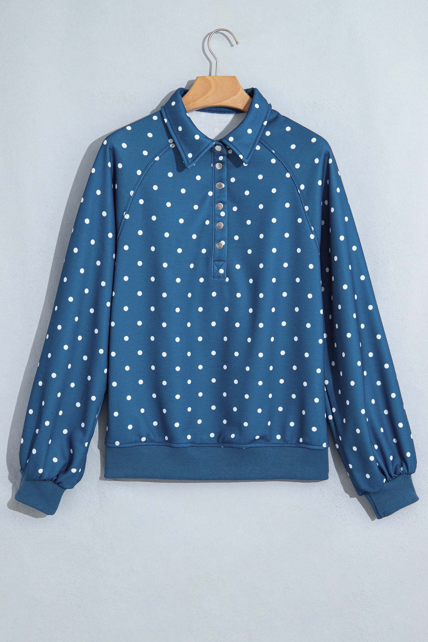 Brown Polka Dot Print Metal Button Collar Casual Pullover Sweatshirt