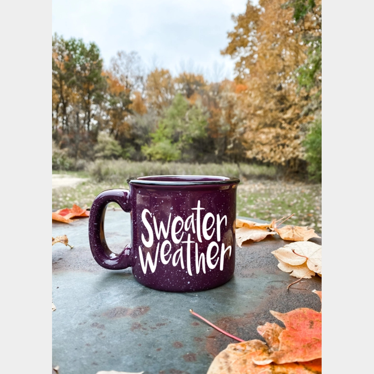 Sweater Weather Campfire Mug